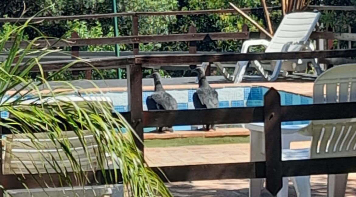 WhatsApp Image 2022-03-14 at 10.29.58 AM