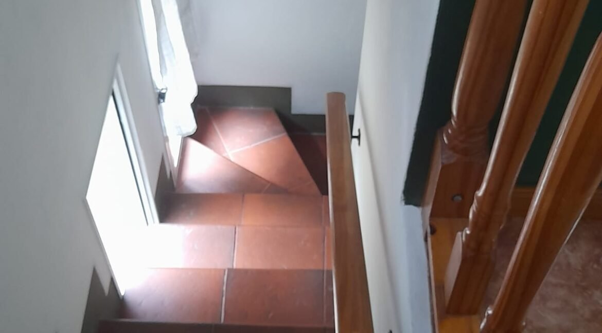 WhatsApp Image 2022-03-14 at 10.29.59 AM