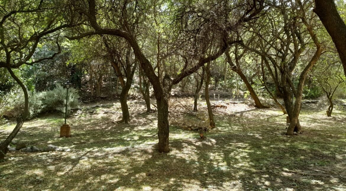 WhatsApp Image 2022-03-14 at 10.30.01 AM (1)