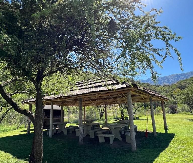 WhatsApp Image 2023-03-20 at 10.21.04